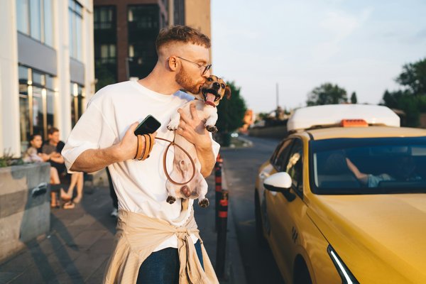 Optez pour un taxi animalier à paris : le confort avant tout !